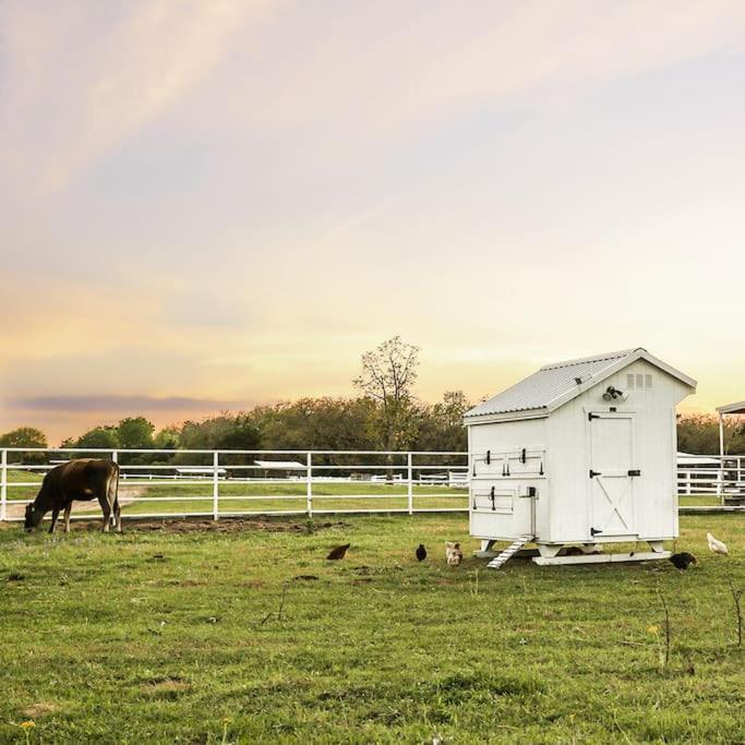 Peaceful 2 Bedroom Stunning Farm - Near Round Top Greenvine Luaran gambar